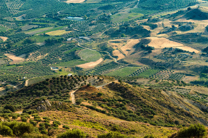 grüne Landschaft mit Hügeln auf Kreta